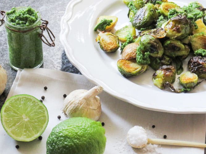 Geröstete Kohlsprossen mit Koriander-Pesto - genussfreudig